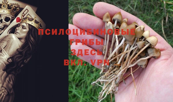 синтетический гашиш Нязепетровск