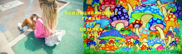 гидропоника Алексеевка