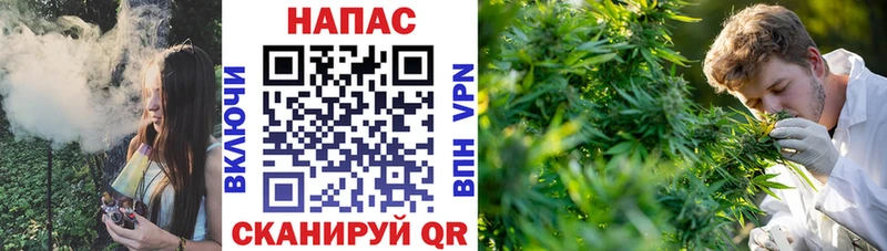 где купить наркоту  Тайшет  дарк нет клад  Канабис Ganja 